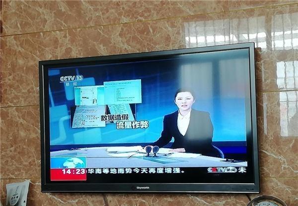 流量明星数据造假