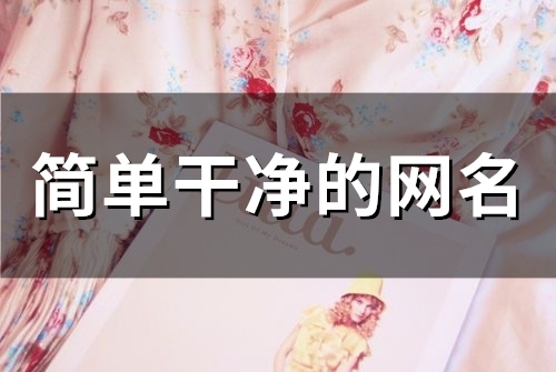 昵称简单干净