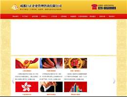 成都巨正财务代理有限公司