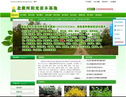 秦皇岛市北戴河阳光苗木基地