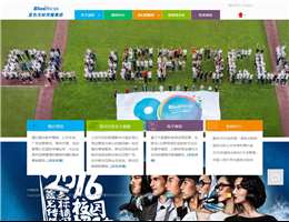 蓝色光标传播集团