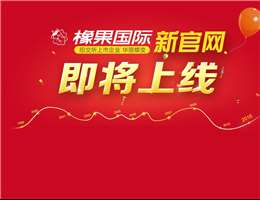 橡果国际