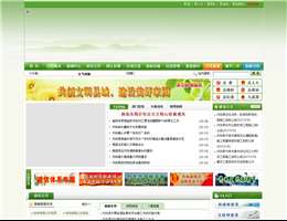 丹凤县人民政府