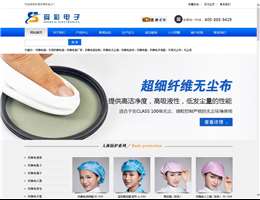 东莞市舜彩电子有限公司