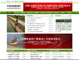 合肥鼎旺泥鳅养殖场