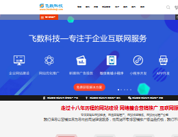 飞数科技