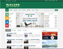 外汇点评网