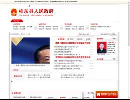 桂东县人民政府