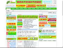 中国绿化苗木网