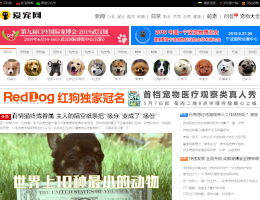 爱宠物网