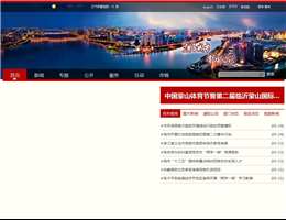 中国临沂政府站