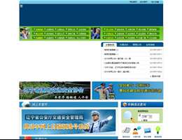 辽宁公安交通管理信息网