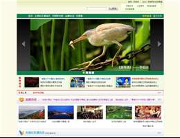 中国社区网络电视台