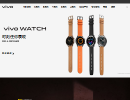vivo手机官方网站