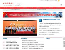 武汉金融网