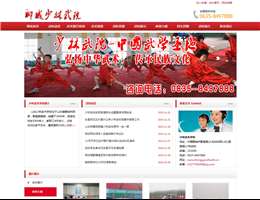 山东聊城少林武校网